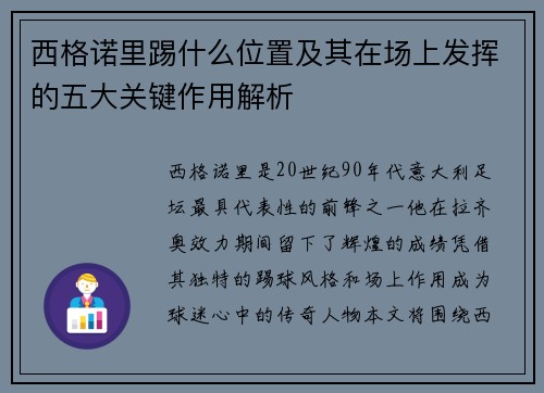 西格诺里踢什么位置及其在场上发挥的五大关键作用解析 西格诺里踢什么位置及其在场上发挥的五大关键作用解析