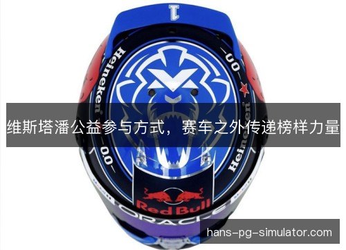 维斯塔潘公益参与方式，赛车之外传递榜样力量
